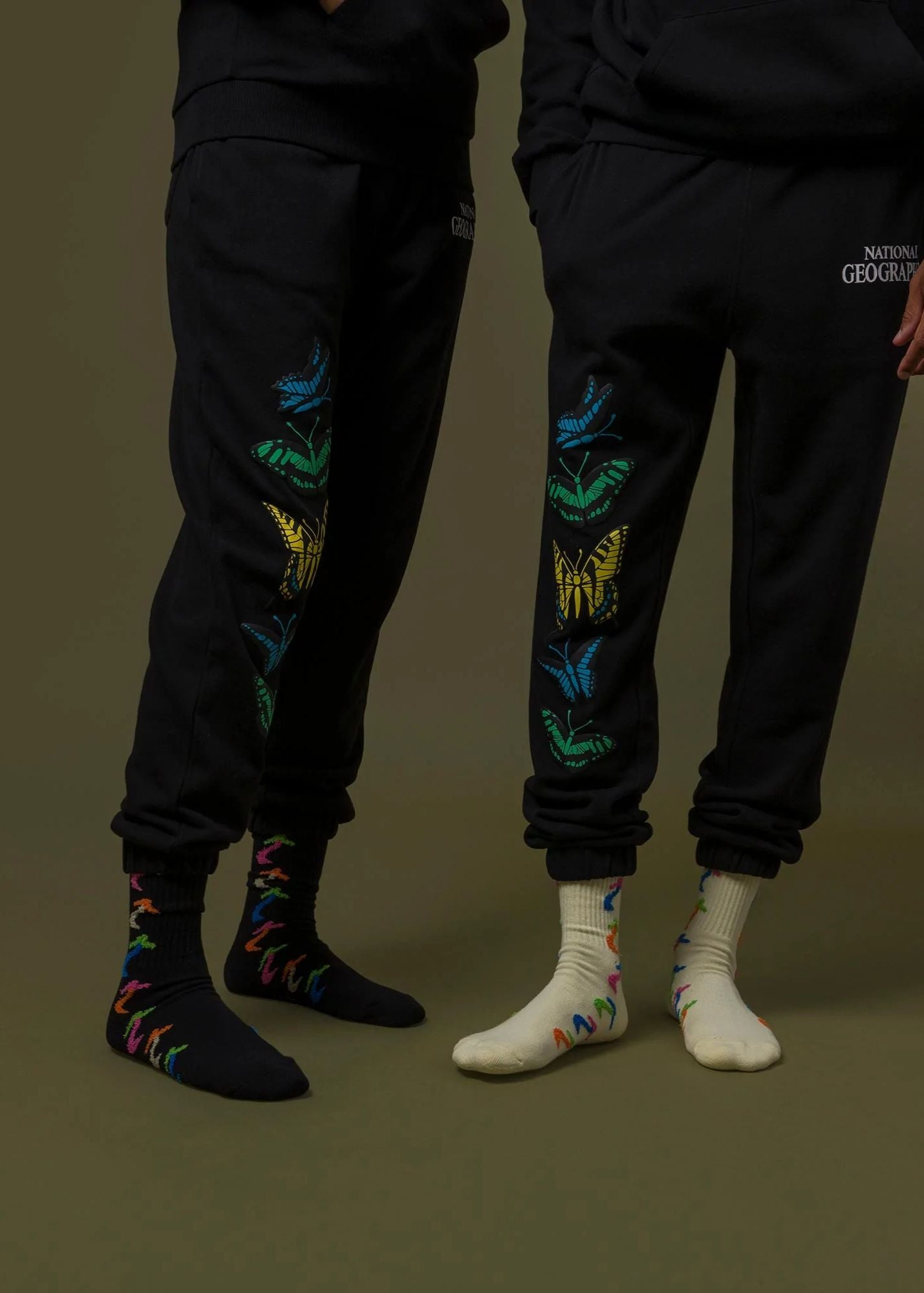 Lounge Pants National Geographic x Parks Project Night Butterflies Organic Jogger Parks Project