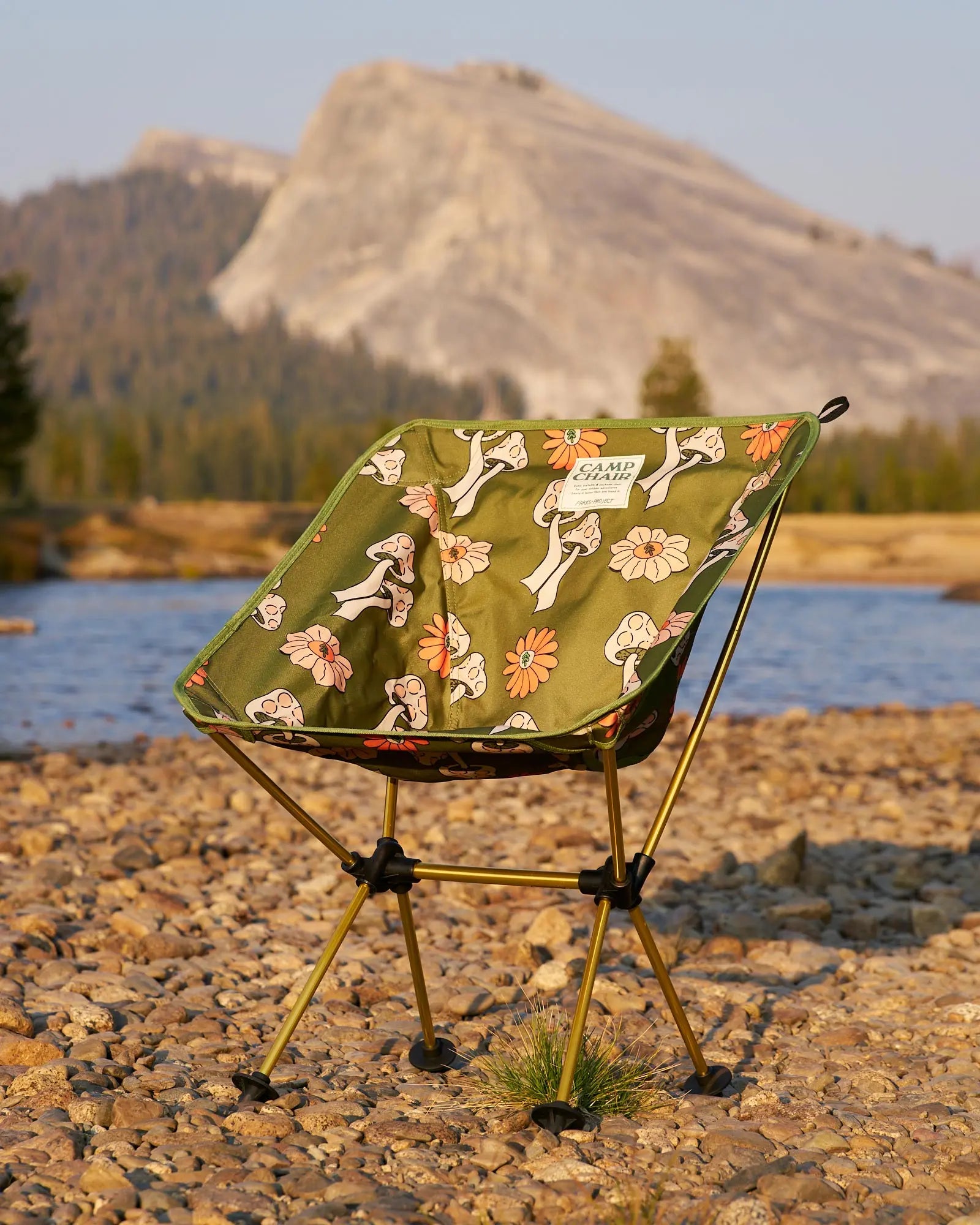 Camp Chair Shrooms Packable Camp Chair Parks Project